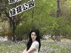 -绿堤公园