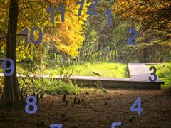 -溱湖国家湿地公园