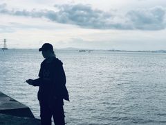 -宝安西湾红树林湿地公园