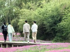 -东南大学(九龙湖校区)