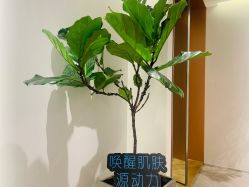 -LB·海菲秀牛奶光官方体验中心