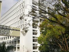 -香港大学