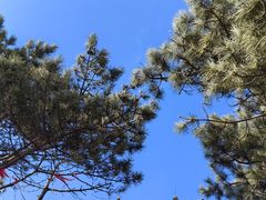 -泰山风景名胜区