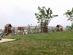 -三垟湿地
