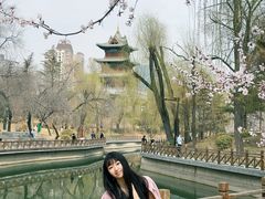 -迎泽公园