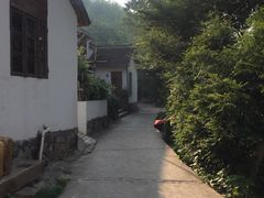 -WILDS 野有食(碧坞店)
