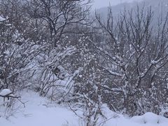 -白水寺森林公园