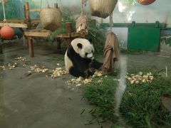 -无锡动物园·太湖欢乐园
