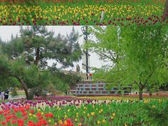 -长春公园(普阳街道)