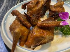 -鸽鸟轩(石岐店)