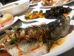 -大雄九老菜馆(南门桥店)