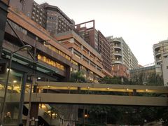 -香港大学