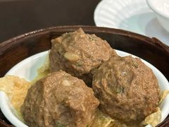 山竹牛肉球-添运来(茶园奥园广场店)