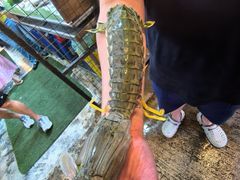 -大树下海鲜饭店