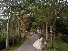 -四海公园(南山区)