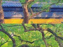 -西湖游船