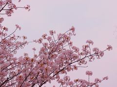 -暨阳湖生态园