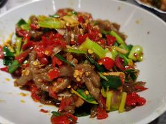 鸭掌筋-壹盏灯(惠农店)