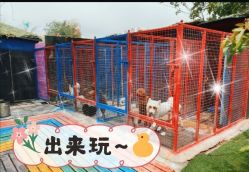 -萌宠亲子动物乐园(槐房万达店)