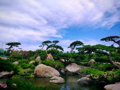 -罗红摄影艺术馆