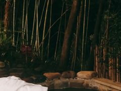 -花水湾第一村温泉大酒店