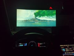 -枫花园汽车电影院(朝阳公园店)