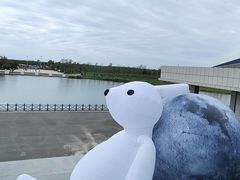 -盐城丹顶鹤湿地生态旅游区