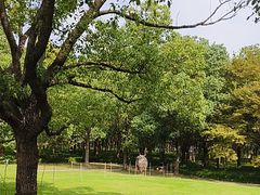 -嘉北郊野公园
