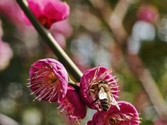 -江南大学(蠡湖校区)