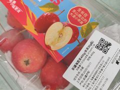 -嘉北郊野公园