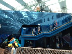 -青岛东方影都融创水世界