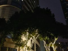 -噹噹呀咪咖喱屋(南京东路店)