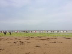 -日照海滨国家森林公园