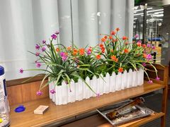 -超菲特健身工作室(晨月店)