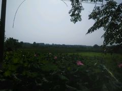 -中百仓储(新洲购物广场店)