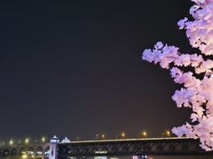 -武汉两江游览·夜游长江(汉口粤汉码头)