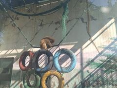 -无锡动物园·太湖欢乐园