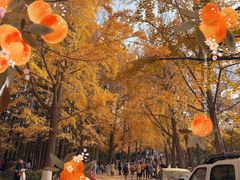 -八大关景区