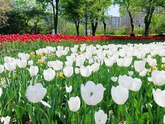 -廊坊文化艺术中心