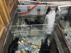 -缘福乡村铁锅炖民宿(八达岭店)