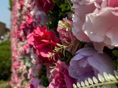 -半岛1919创意园区