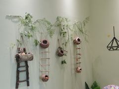 -藏猫猫咖啡主题馆(中央大道店)