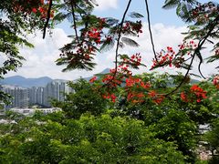 -鹿回头风景区