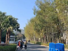 -明月山天沐温泉度假村