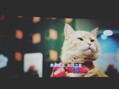 -博纳国际影城IMAX(中央大道店)