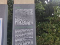 -日照海滨国家森林公园