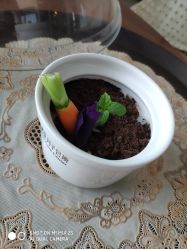 点击看大图 -新寰亚月子会所(盛捷白塘店)
