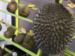 -都念榴莲·城市榴莲