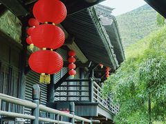 -大唐贡茶院
