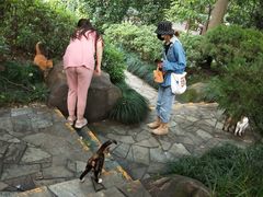 -静安公园(静安寺街道)